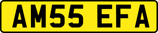 AM55EFA