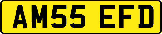 AM55EFD