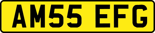 AM55EFG