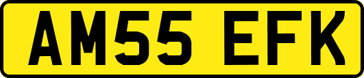 AM55EFK