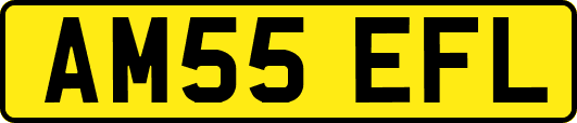 AM55EFL