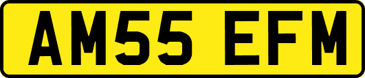 AM55EFM