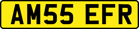 AM55EFR