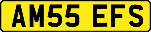 AM55EFS