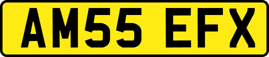 AM55EFX