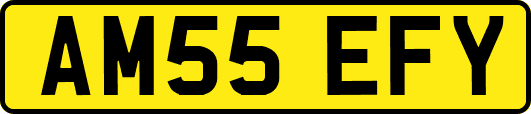 AM55EFY