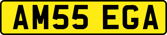 AM55EGA