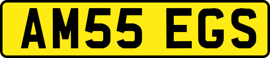 AM55EGS