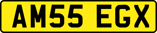 AM55EGX