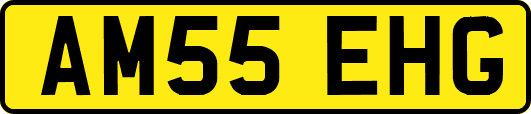 AM55EHG