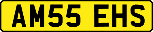 AM55EHS