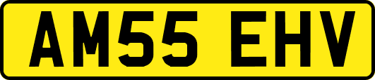 AM55EHV