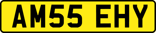 AM55EHY
