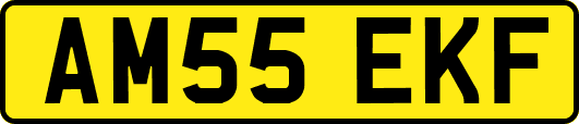 AM55EKF
