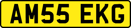 AM55EKG