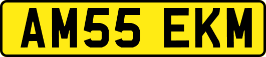 AM55EKM