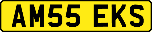 AM55EKS