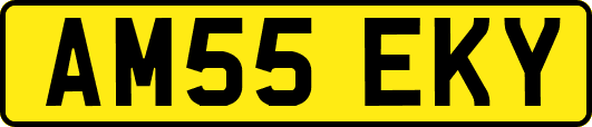 AM55EKY
