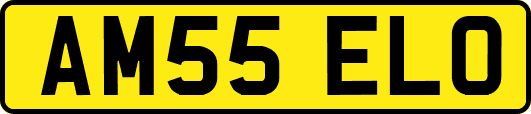 AM55ELO