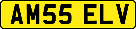 AM55ELV