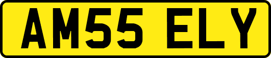 AM55ELY