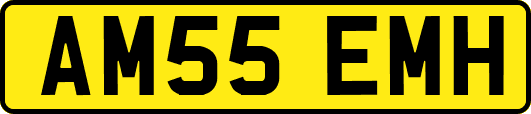 AM55EMH