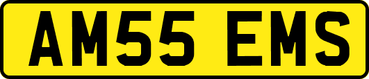 AM55EMS
