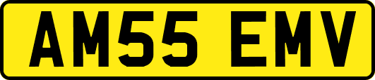 AM55EMV