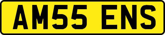 AM55ENS