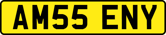 AM55ENY