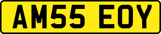 AM55EOY