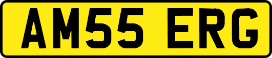 AM55ERG