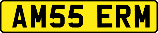 AM55ERM