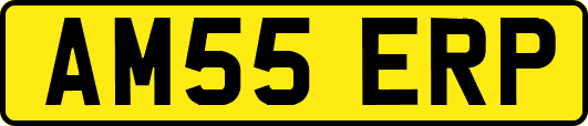 AM55ERP