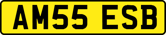 AM55ESB