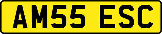 AM55ESC