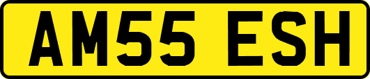 AM55ESH