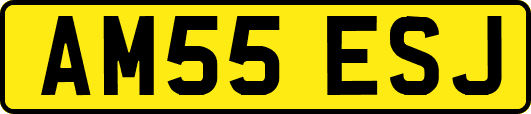 AM55ESJ