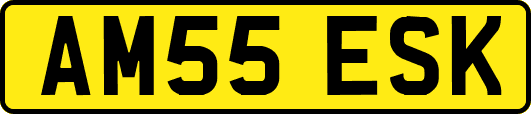 AM55ESK