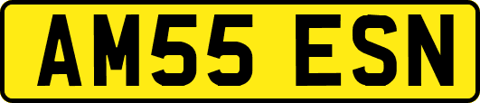 AM55ESN