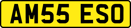 AM55ESO