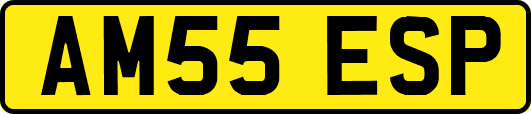 AM55ESP