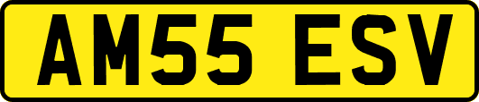AM55ESV