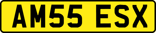 AM55ESX