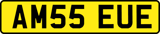AM55EUE