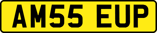AM55EUP