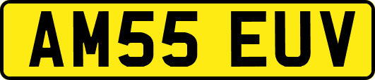 AM55EUV