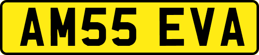 AM55EVA