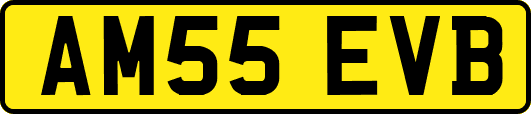 AM55EVB