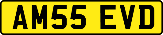 AM55EVD